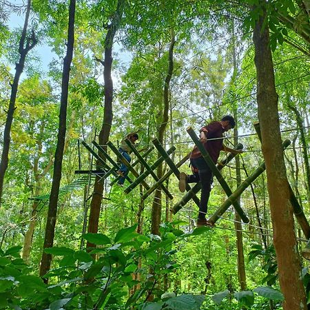 Adrak Mountain Mist Forest Resort Pulpally المظهر الخارجي الصورة