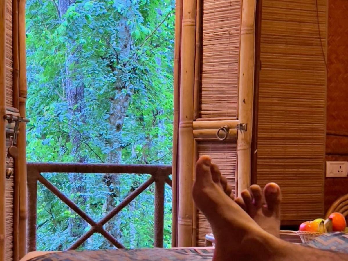 Adrak Mountain Mist Forest Resort Pulpally المظهر الخارجي الصورة
