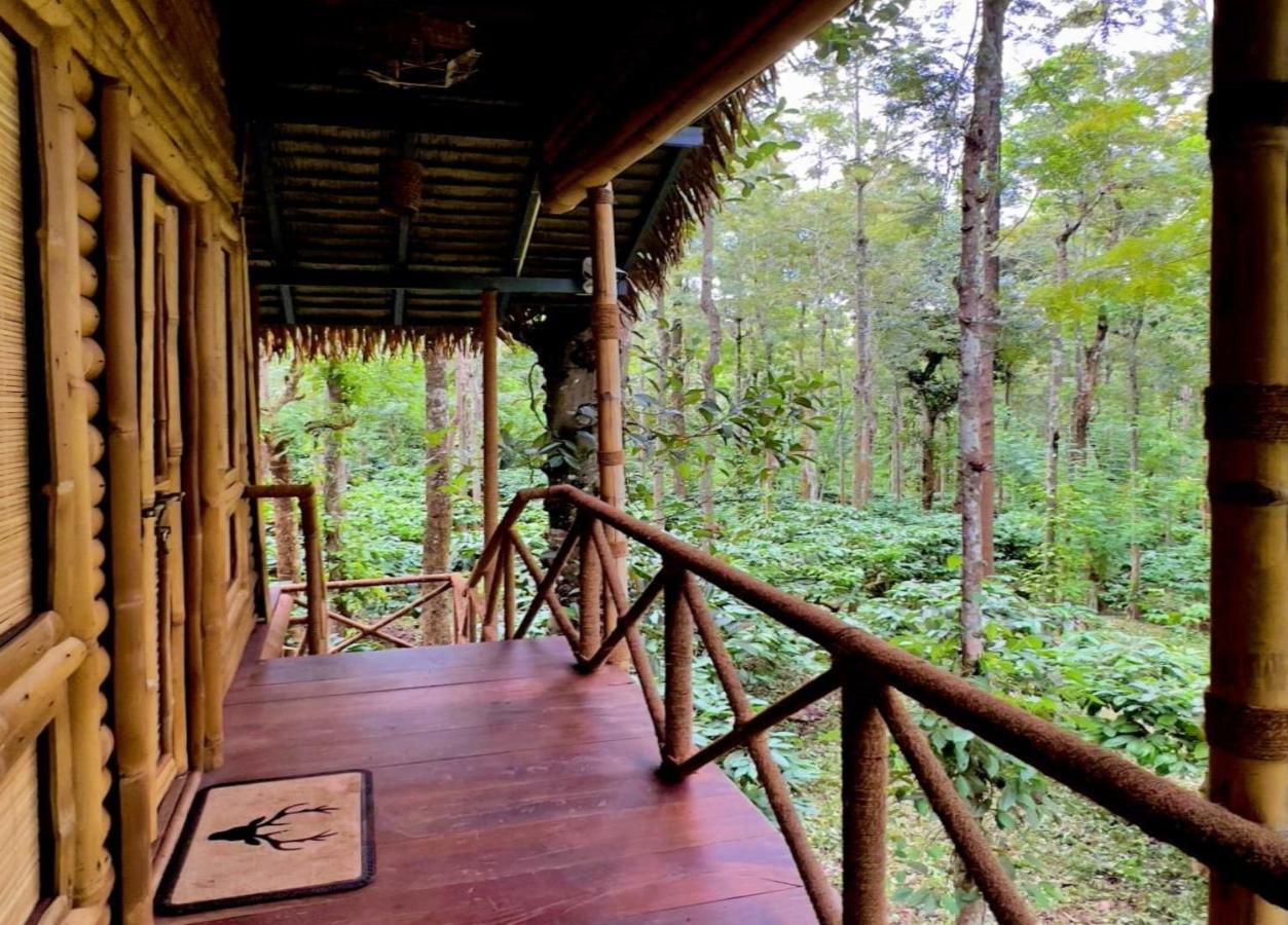 Adrak Mountain Mist Forest Resort Pulpally المظهر الخارجي الصورة