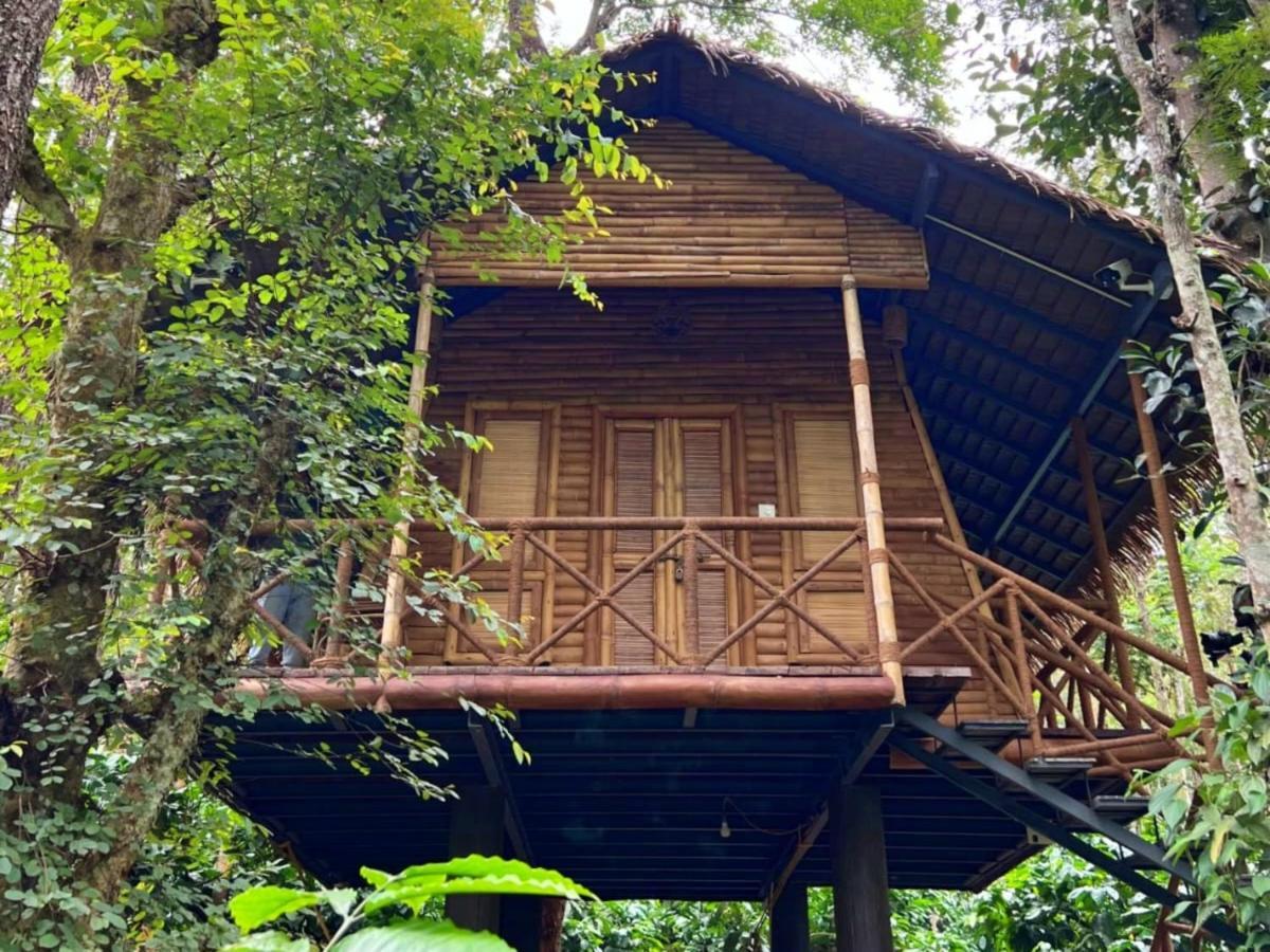 Adrak Mountain Mist Forest Resort Pulpally المظهر الخارجي الصورة