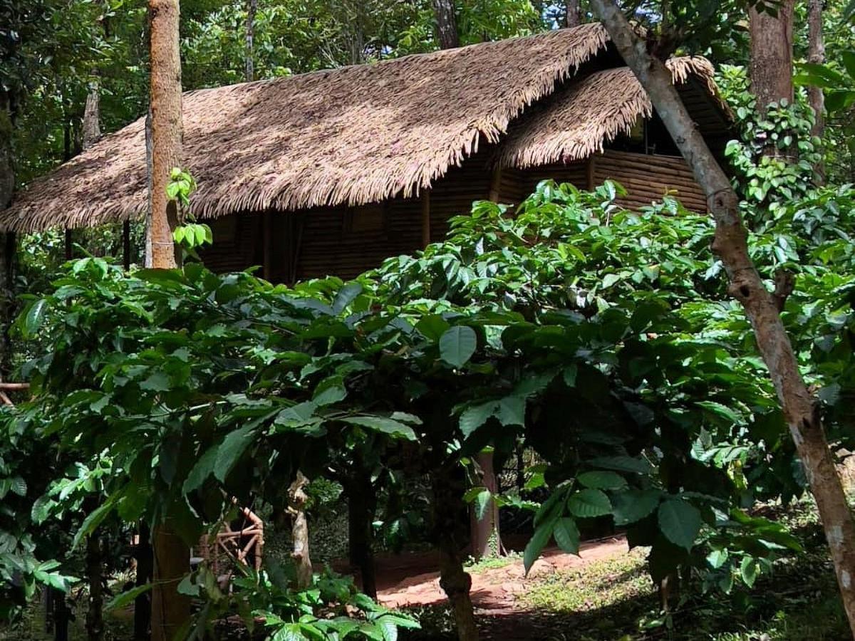 Adrak Mountain Mist Forest Resort Pulpally المظهر الخارجي الصورة