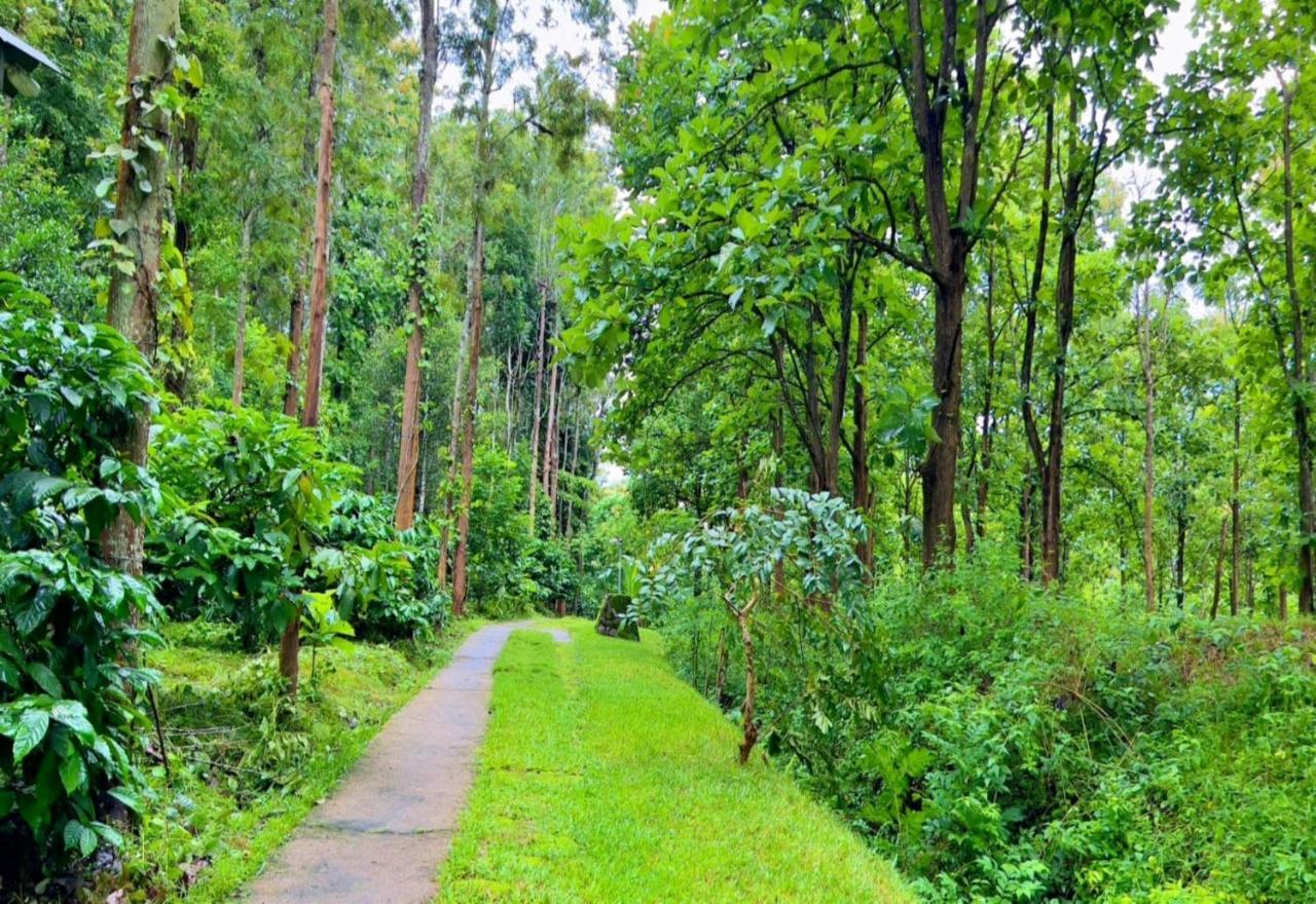 Adrak Mountain Mist Forest Resort Pulpally المظهر الخارجي الصورة