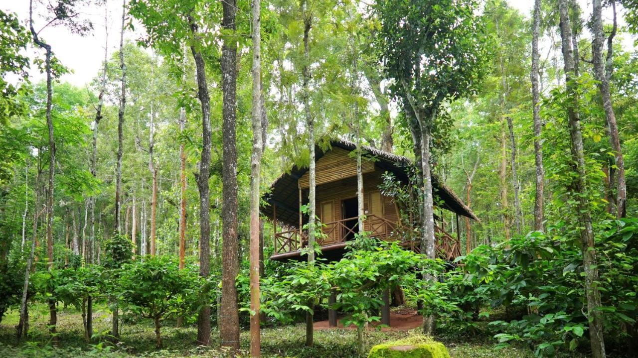 Adrak Mountain Mist Forest Resort Pulpally المظهر الخارجي الصورة