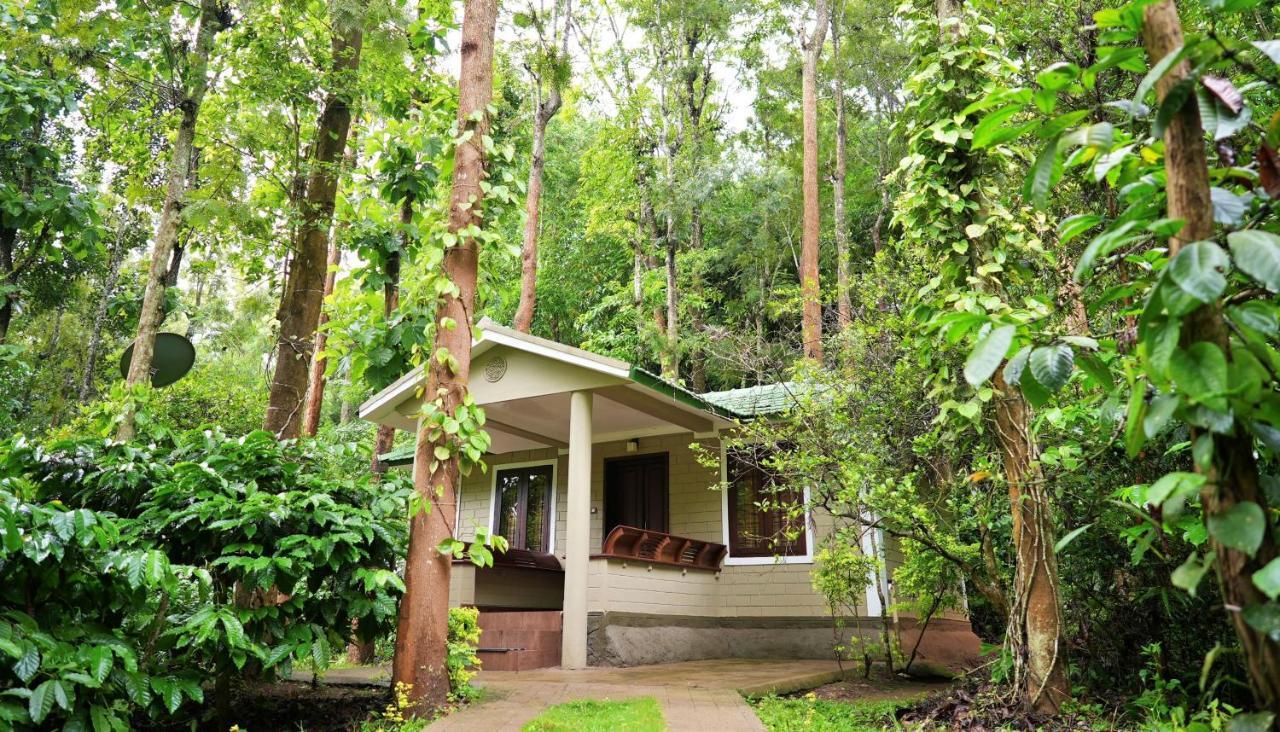 Adrak Mountain Mist Forest Resort Pulpally المظهر الخارجي الصورة