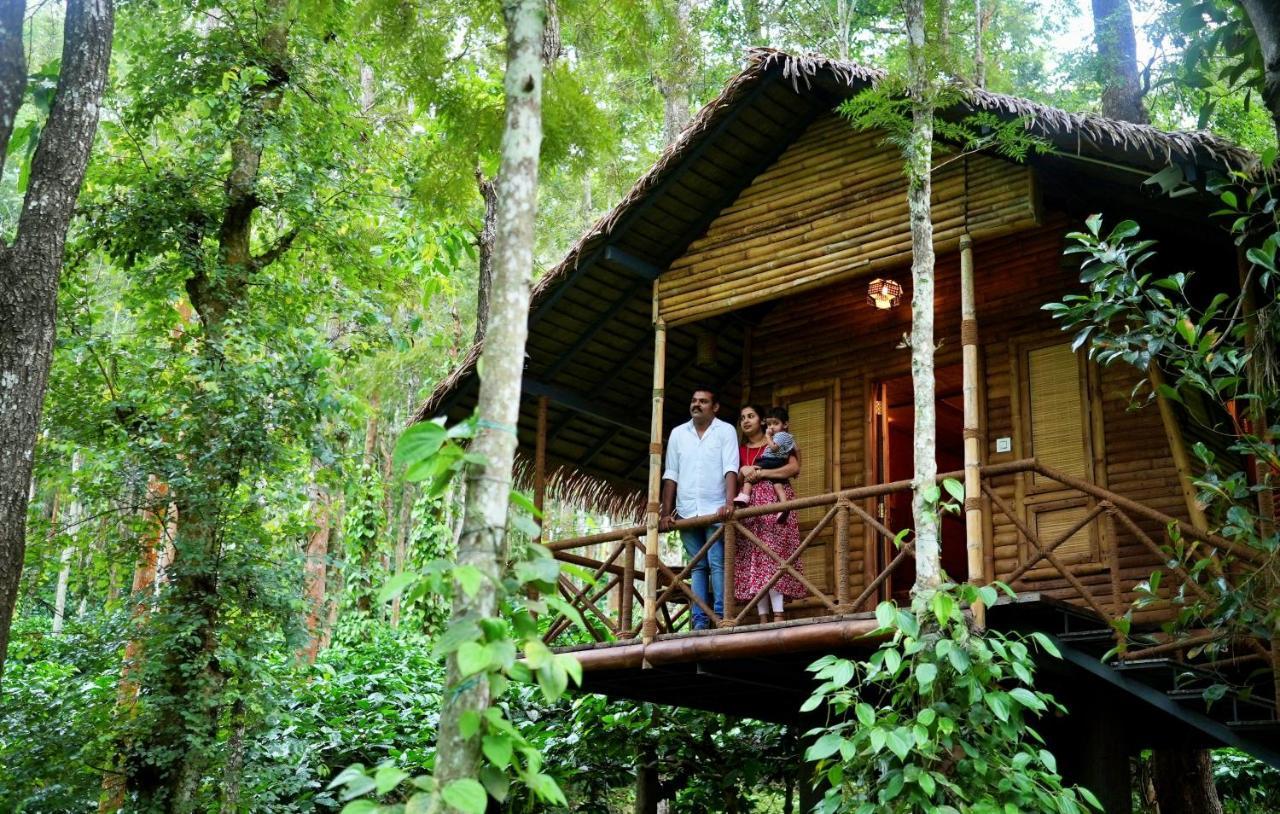 Adrak Mountain Mist Forest Resort Pulpally المظهر الخارجي الصورة