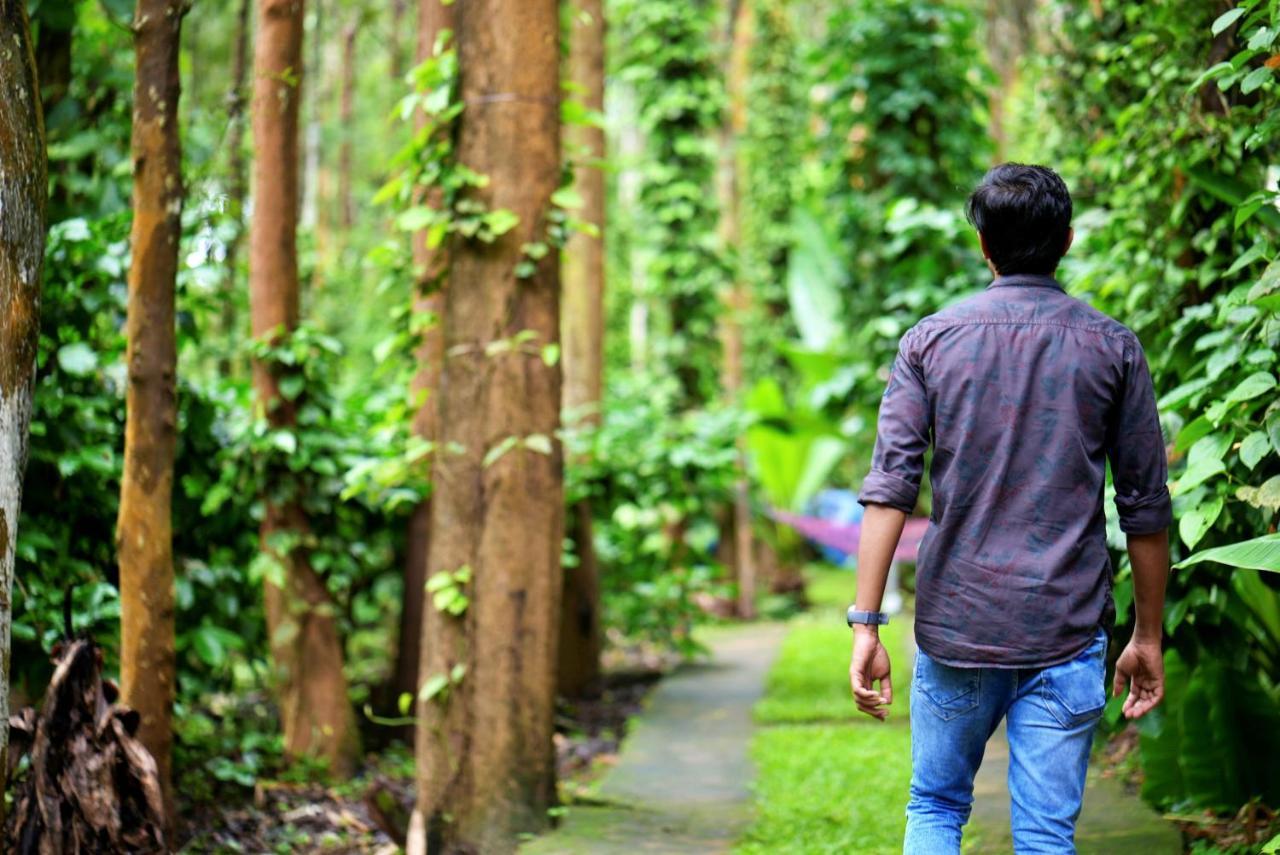 Adrak Mountain Mist Forest Resort Pulpally المظهر الخارجي الصورة