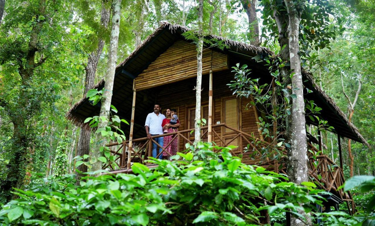 Adrak Mountain Mist Forest Resort Pulpally المظهر الخارجي الصورة